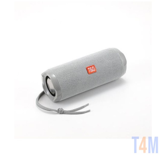 COLUNA DE SOM PORTÁTIL T&G TG-191 AUX/USB/CARTÃO DE MEMORIA PRATA